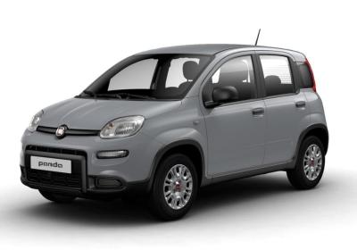 i-4-colori-della-fiat-panda-hybrid-2022-patentati