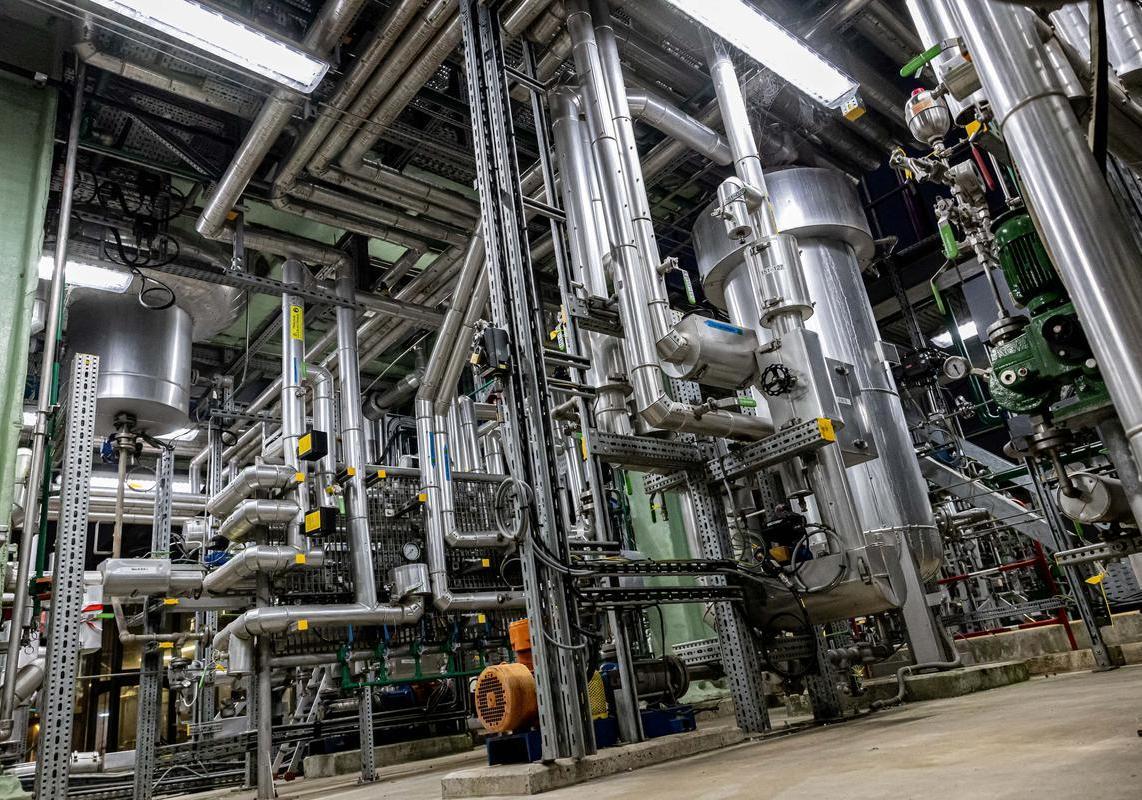 BioButterfly - stabilimento Bassens