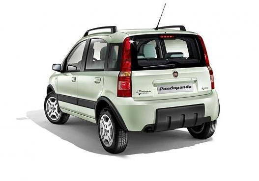 Fiat Panda Classic 4x4 posteriore