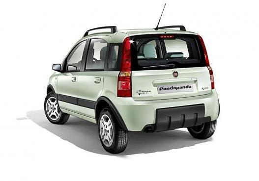 Fiat Panda Classic 4x4 posteriore