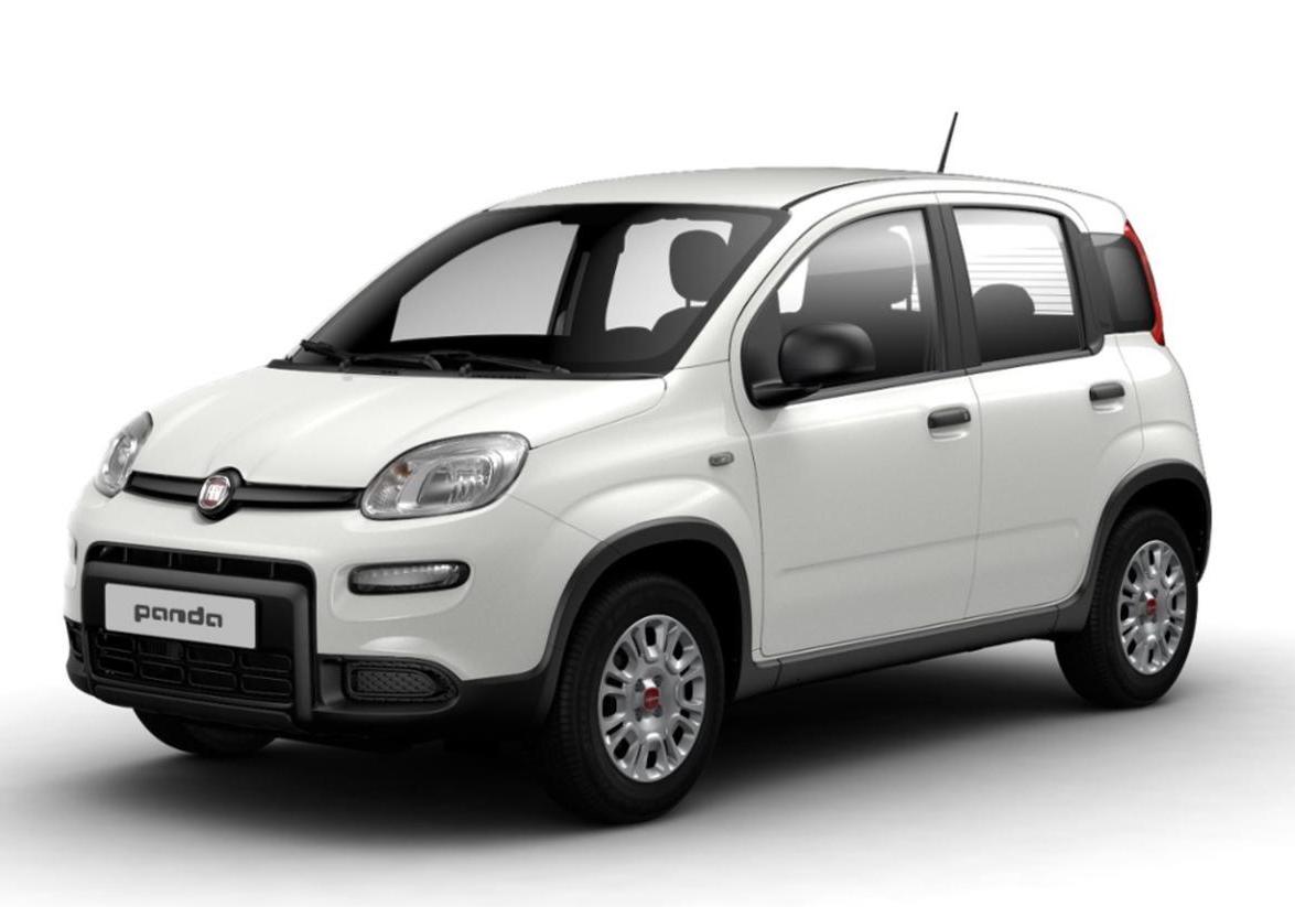 Fiat Panda colore Bianco Gelato