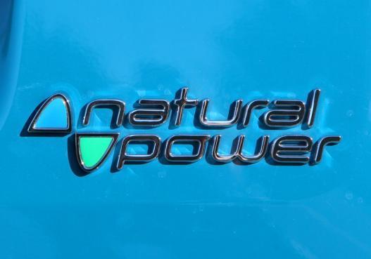 Logo Natural Power