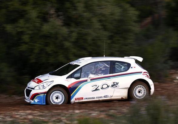 Peugeot 208 Type R5 profilo