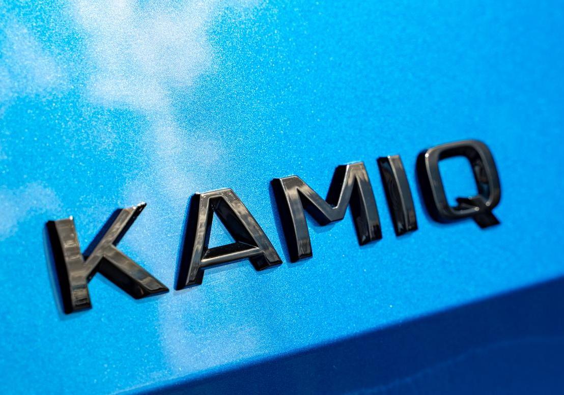 Skoda Kamiq Black Dots badge