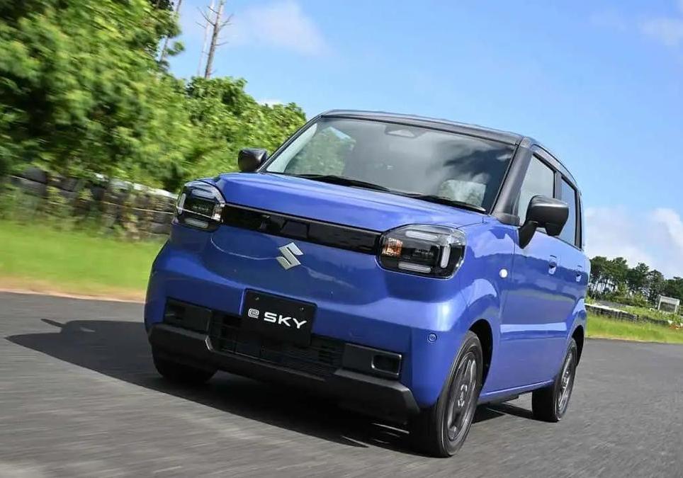 Suzuki e SKY - in action