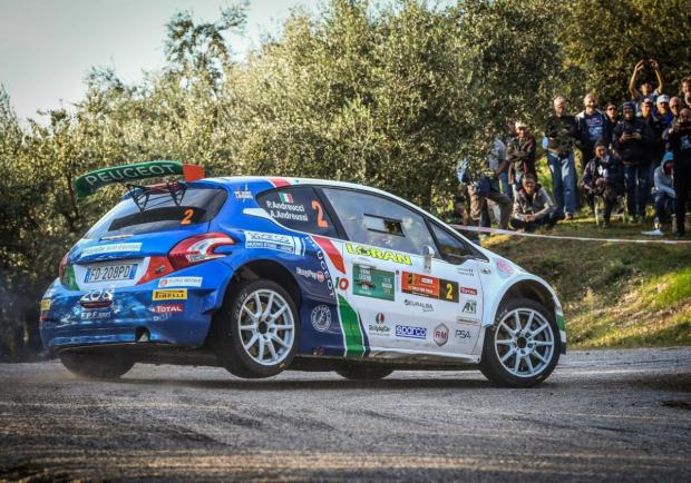 Andreucci 2 Peugeot 208 Rally Due Valli 2018