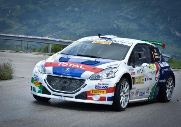 Andreucci Peugeot 208 CIR 2018 2