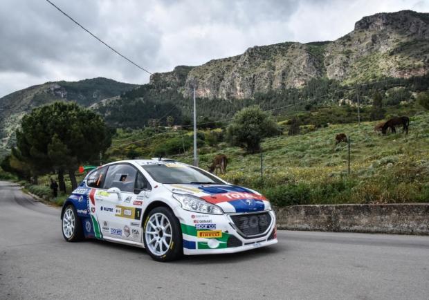 Andreucci Peugeot 208 CIR 2018 3