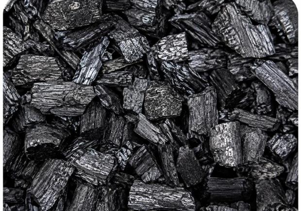 biochar immagine