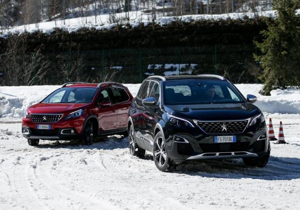 Grip control Peugeot Courmayeur