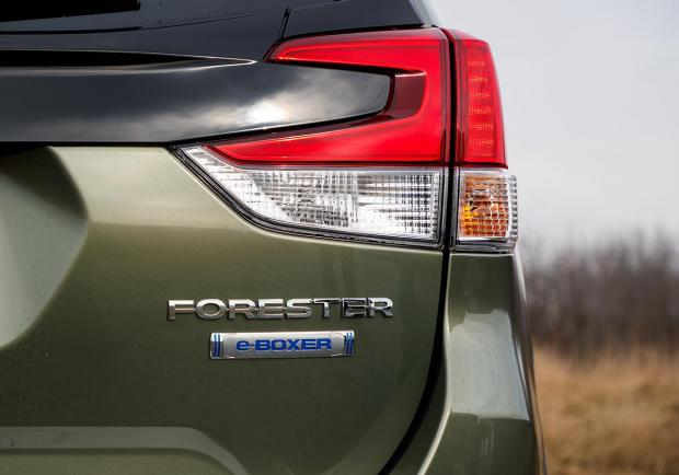 Subaru Forester eBoxer badge e fari posteriori