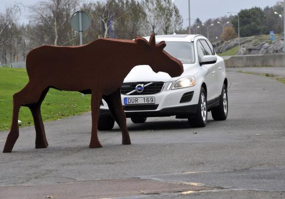 Volvo XC 60 test sistema Volvo Animal Detection