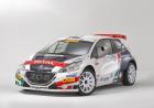 CIR 2018 Peugeot 208 T16 Pollara-Princiotto