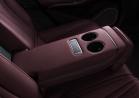 Denza Z9 GT frigo posteriore