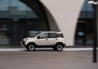 Fiat Panda 4x40 edizione limitata immagine