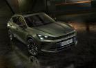 gamma cupra 2026 3