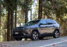 Jeep Cherokee 2.2 Multijet 4WD Limited immagine profilo