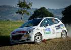 Nerobutto Peugeot Competition Top 208 Rally Adriatico 2018