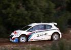 Peugeot 208 Type R5 profilo