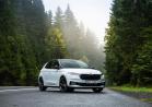 Skoda Fabia 130 foto