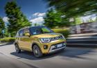 Suzuki Ignis ibrida 2020