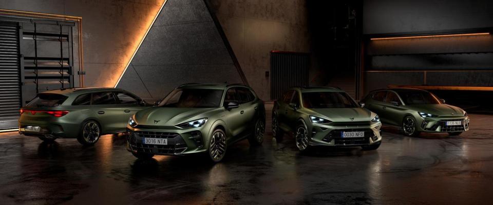 gamma cupra business impulse