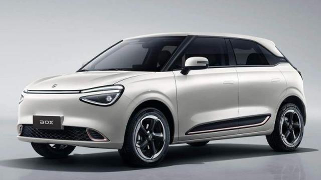 Dongfeng Box anteriore