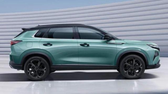 Dongfeng Huge profilo