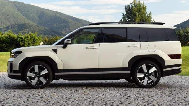 Hyundai SANTA FE Plug-in Hybrid profilo