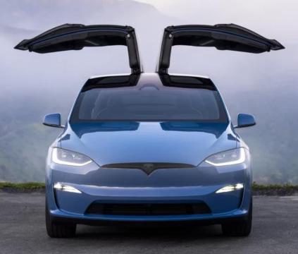 Tesla Model x ali di gabbiano