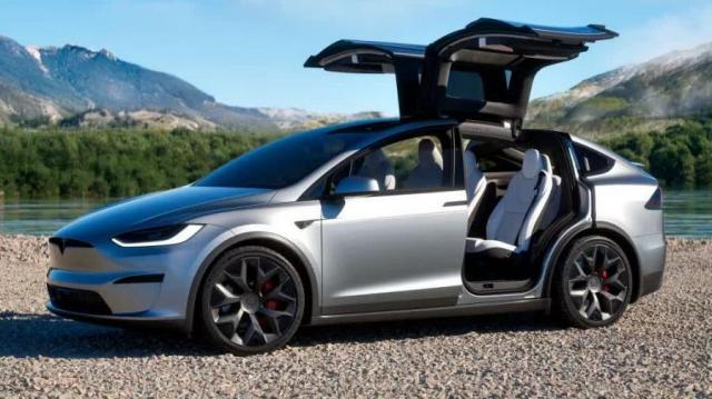 Tesla Model x portiera
